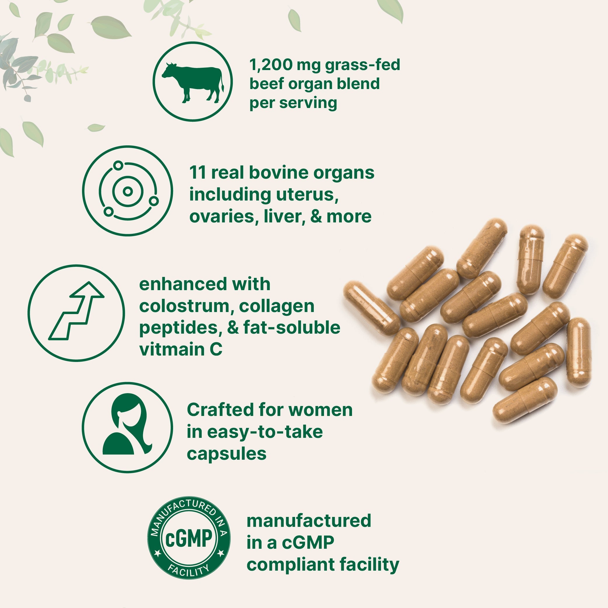 Micro Ingredients Grass-fed Beef Organ for Women 1200mg, 240 Capsules