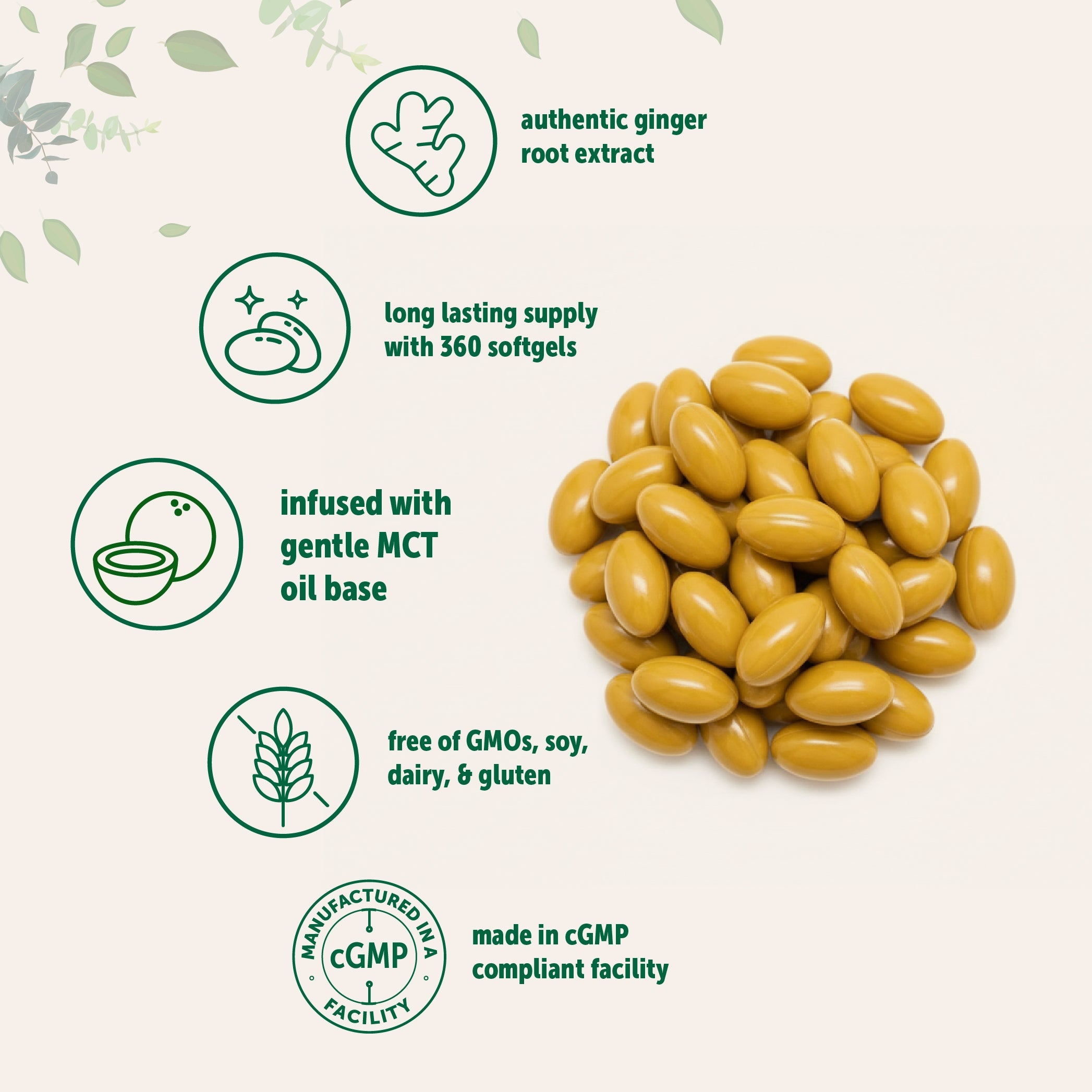 Micro Ingredients Ginger Root with MCT Oil, 360 Softgels