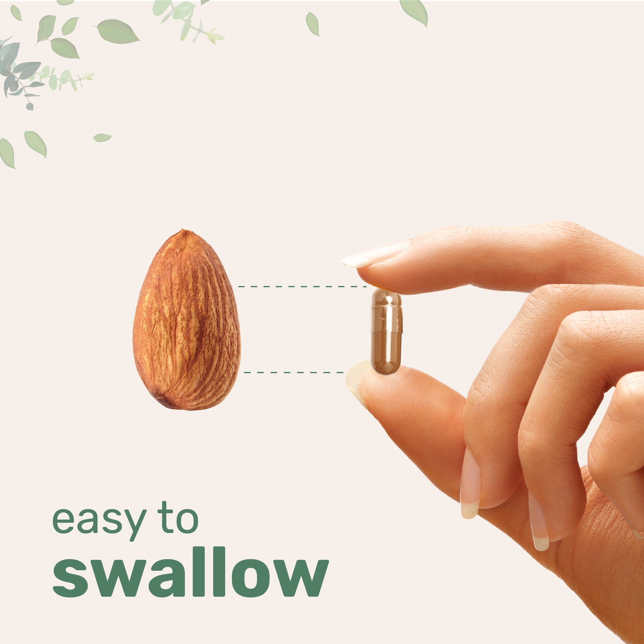 Micro Ingredients Grape Seed Extract, 240 Capsule