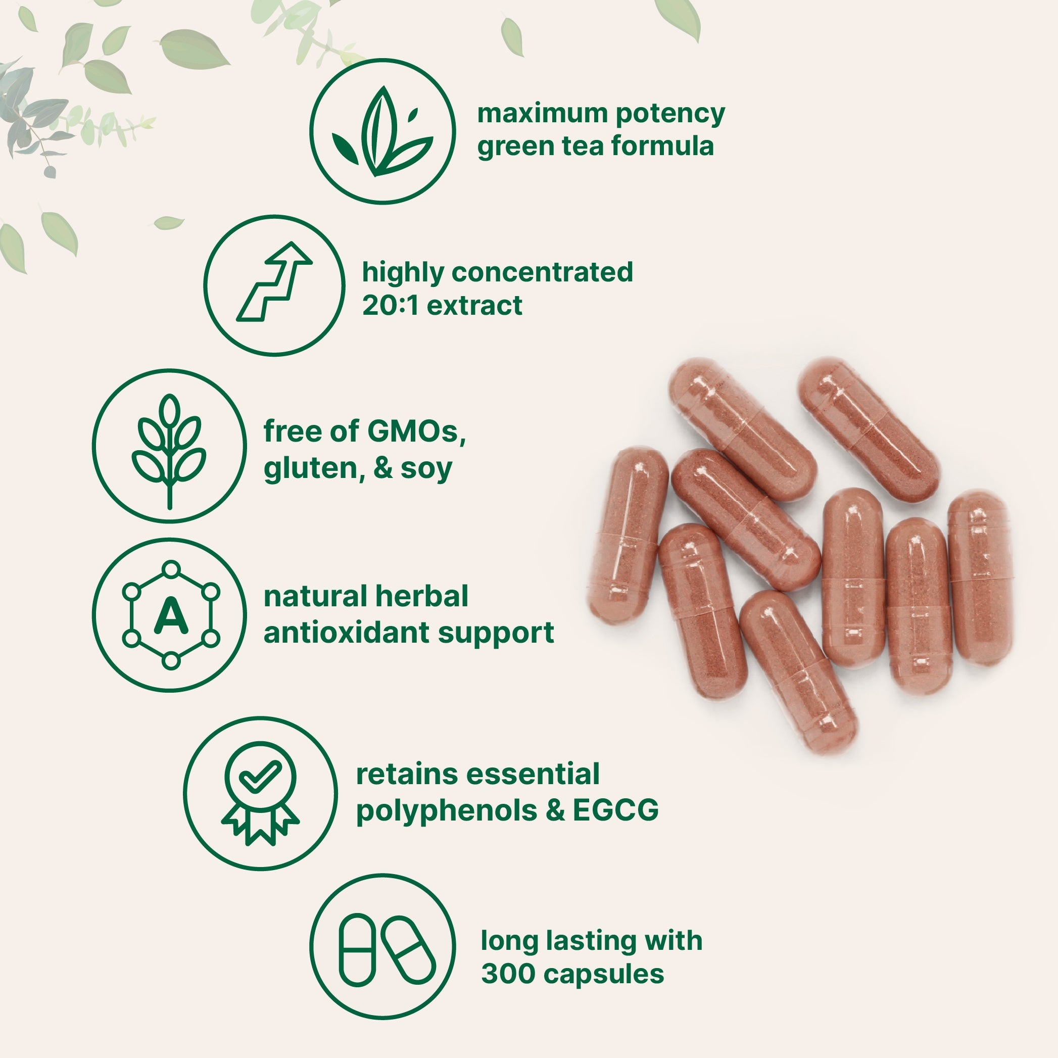 Micro Ingredients Extra Strength Green Tea Extract 9,000mg, 300 Capsules