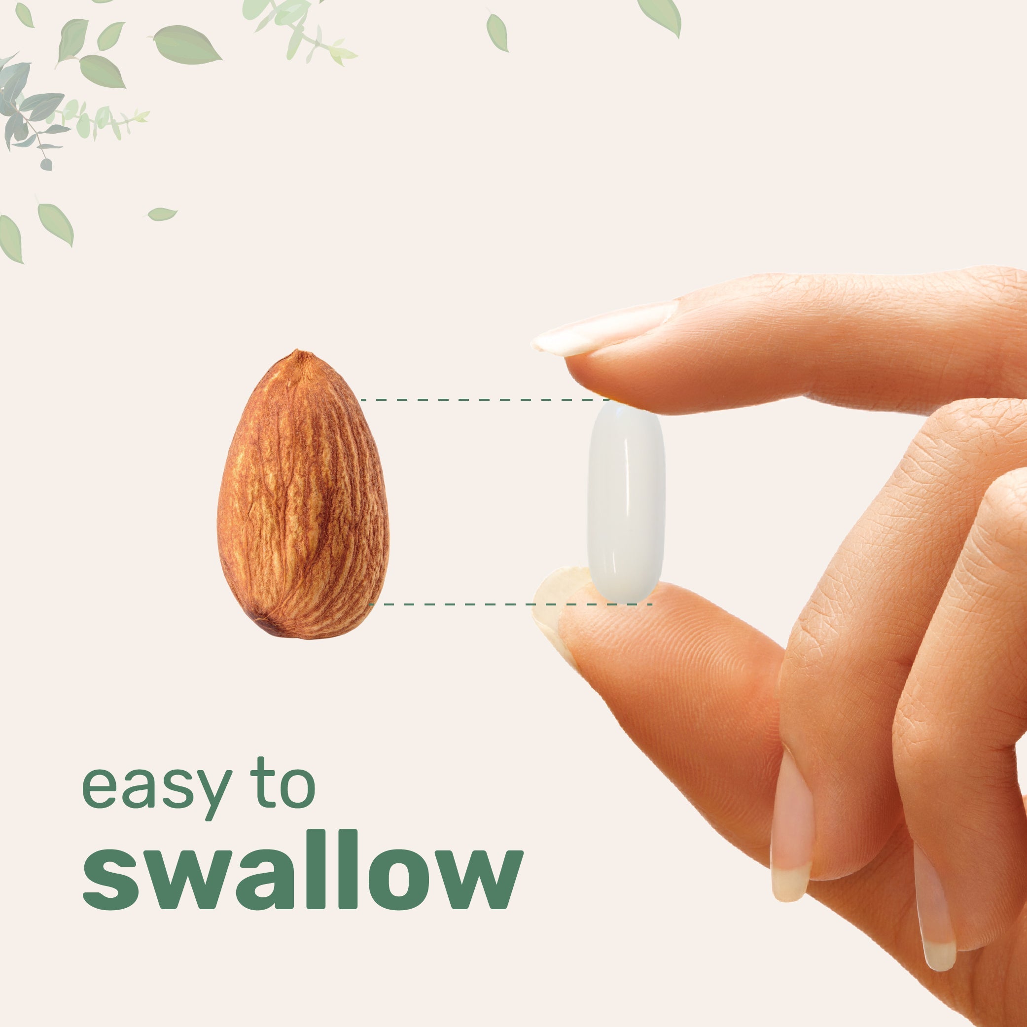 Micro Ingredients HMB 1,000mg, 240 Softgels with Coconut Oil, Highly Bioavailable