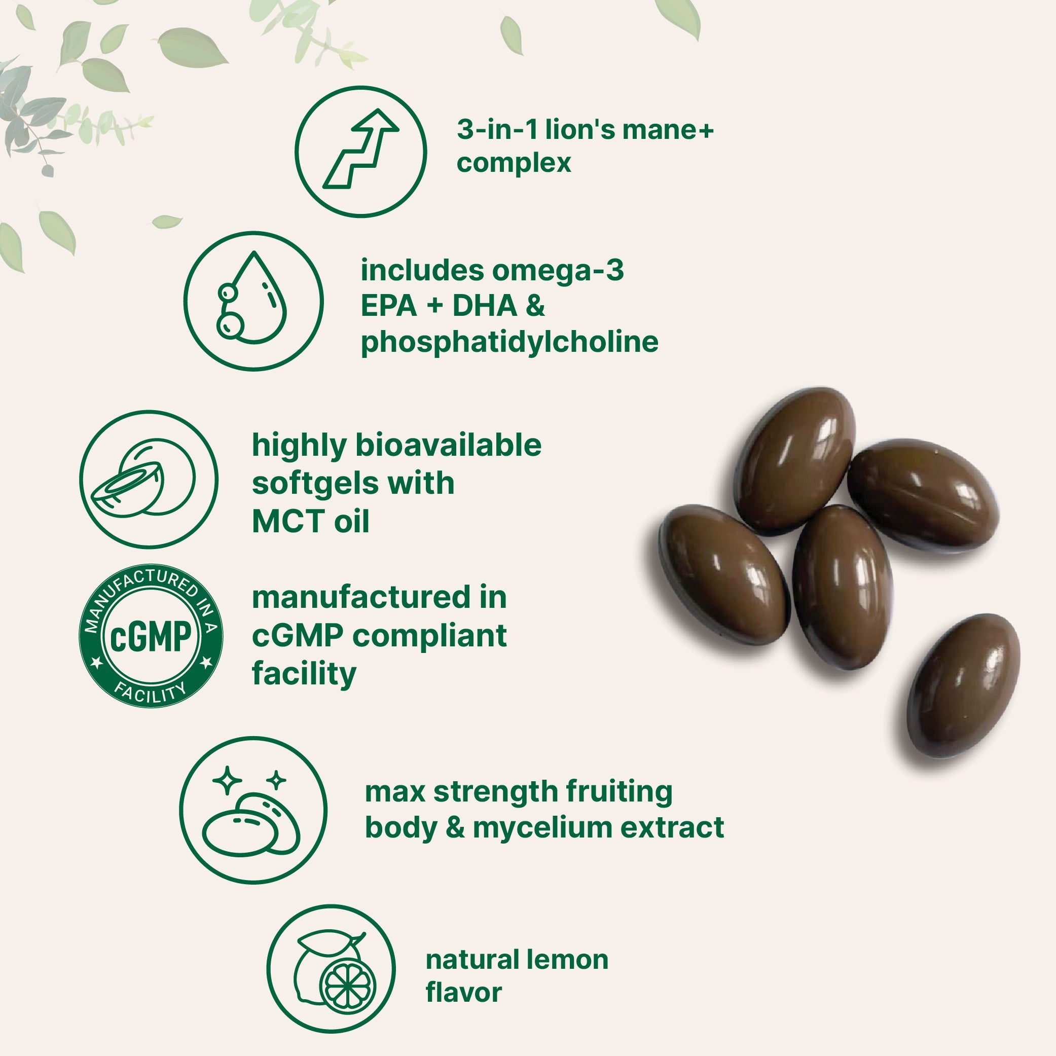 Micro Ingredients Lions Mane+ with Omega-3 & MCT Oil, 240 Softgels