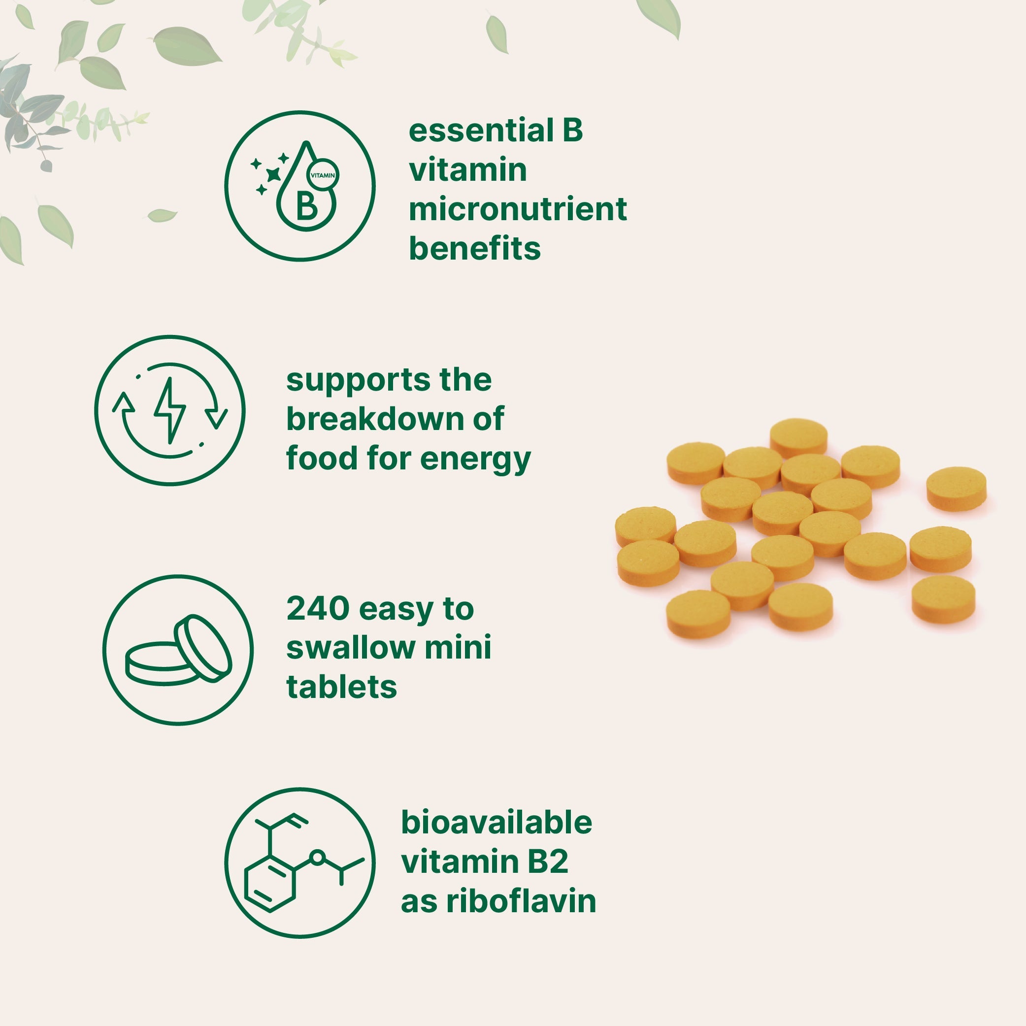 Micro Ingredients Vitamin B2 Riboflavine Tablets