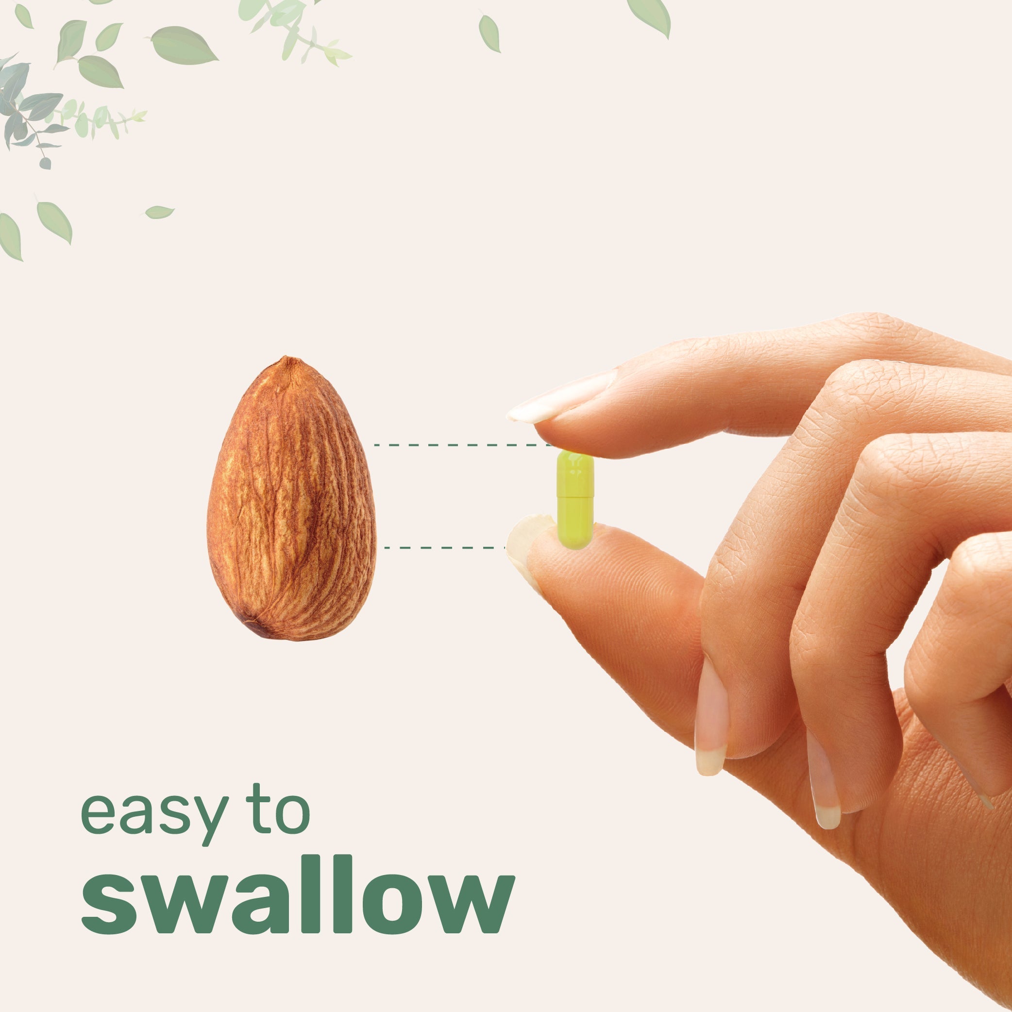 Micro Ingredients Quercetin with Vitamin C and Zinc