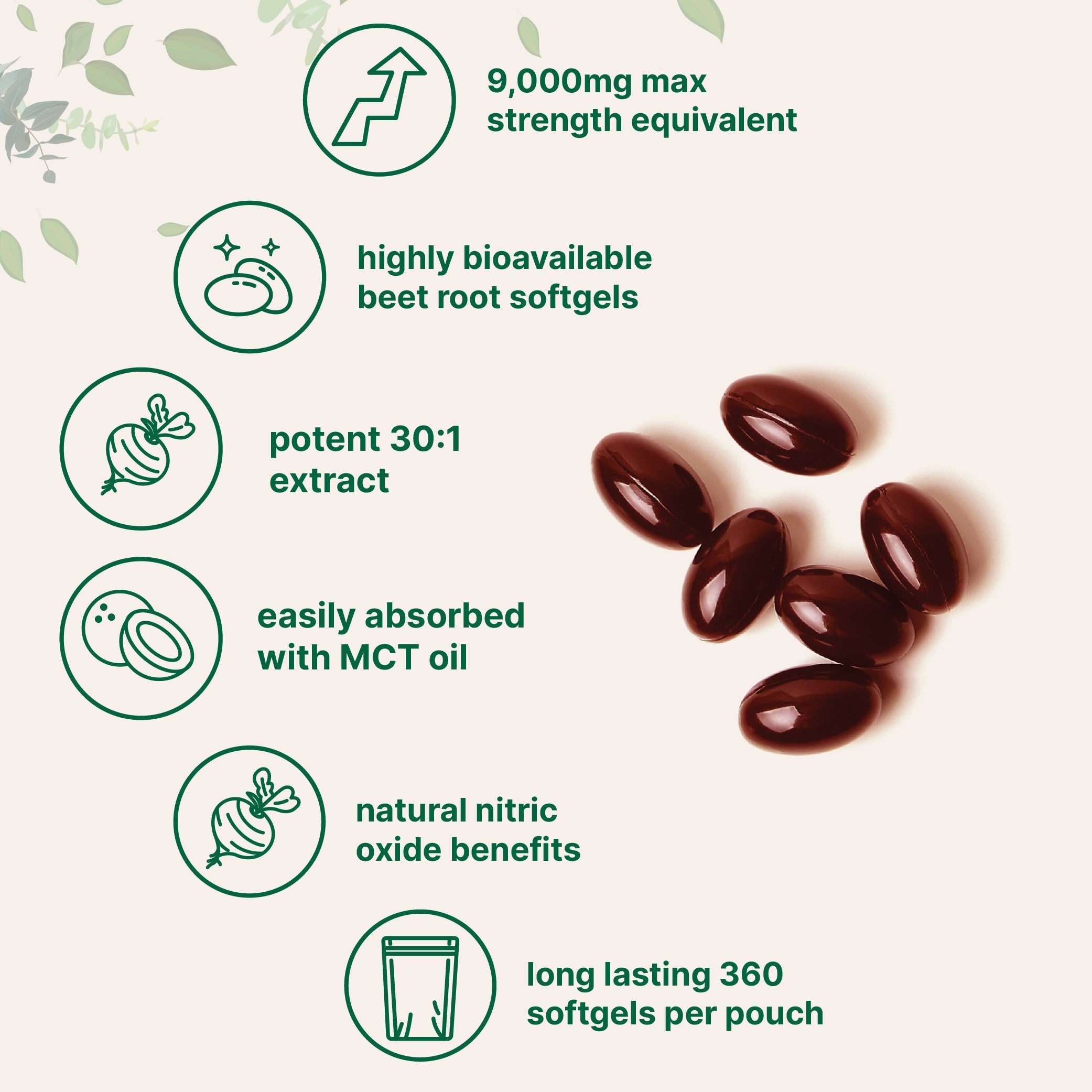 Micro Ingredients Beet Root 9,000mg Equivalent, 360 Softgels with MCT Oil