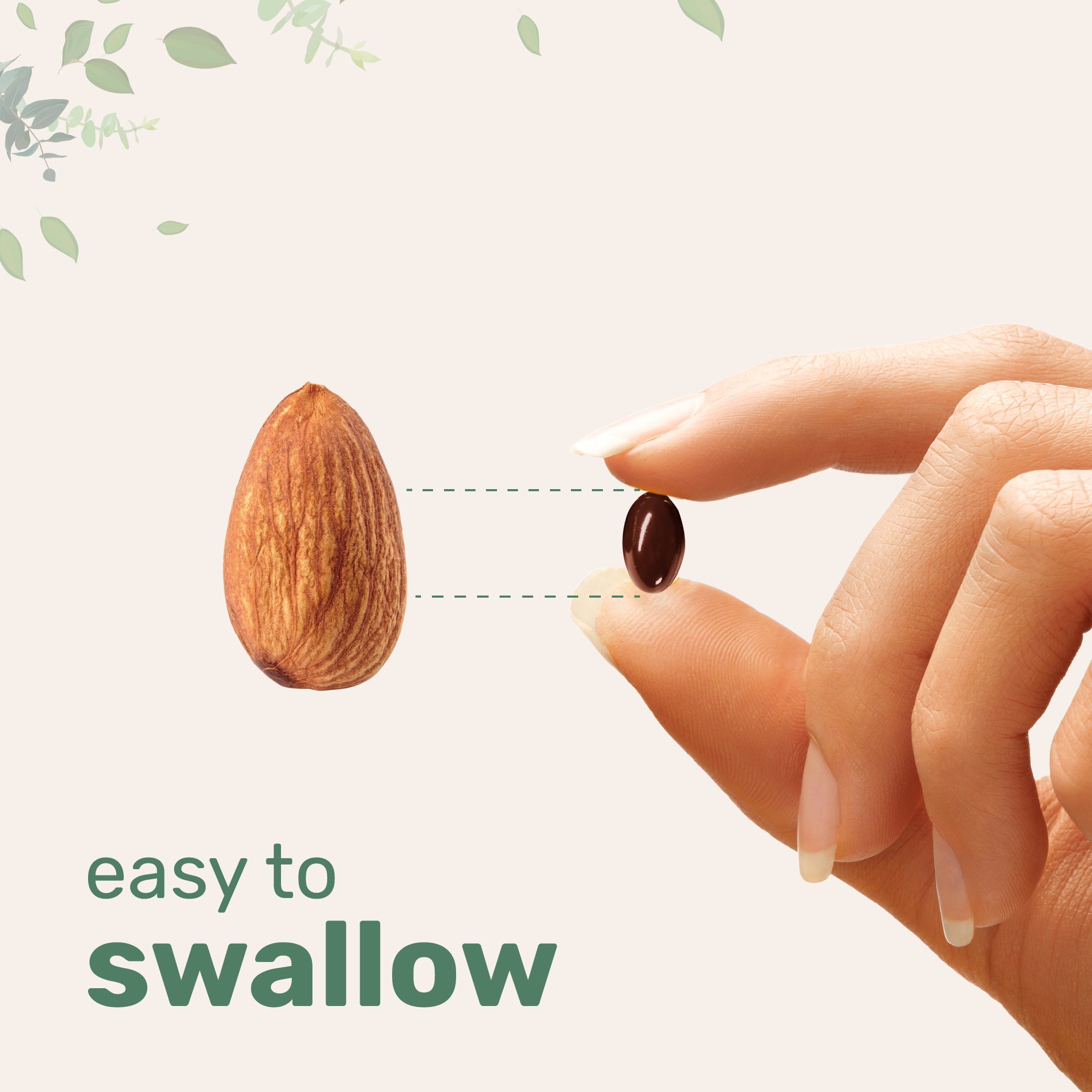 Micro Ingredients Beet Root 9,000mg Equivalent, 360 Softgels with MCT Oil