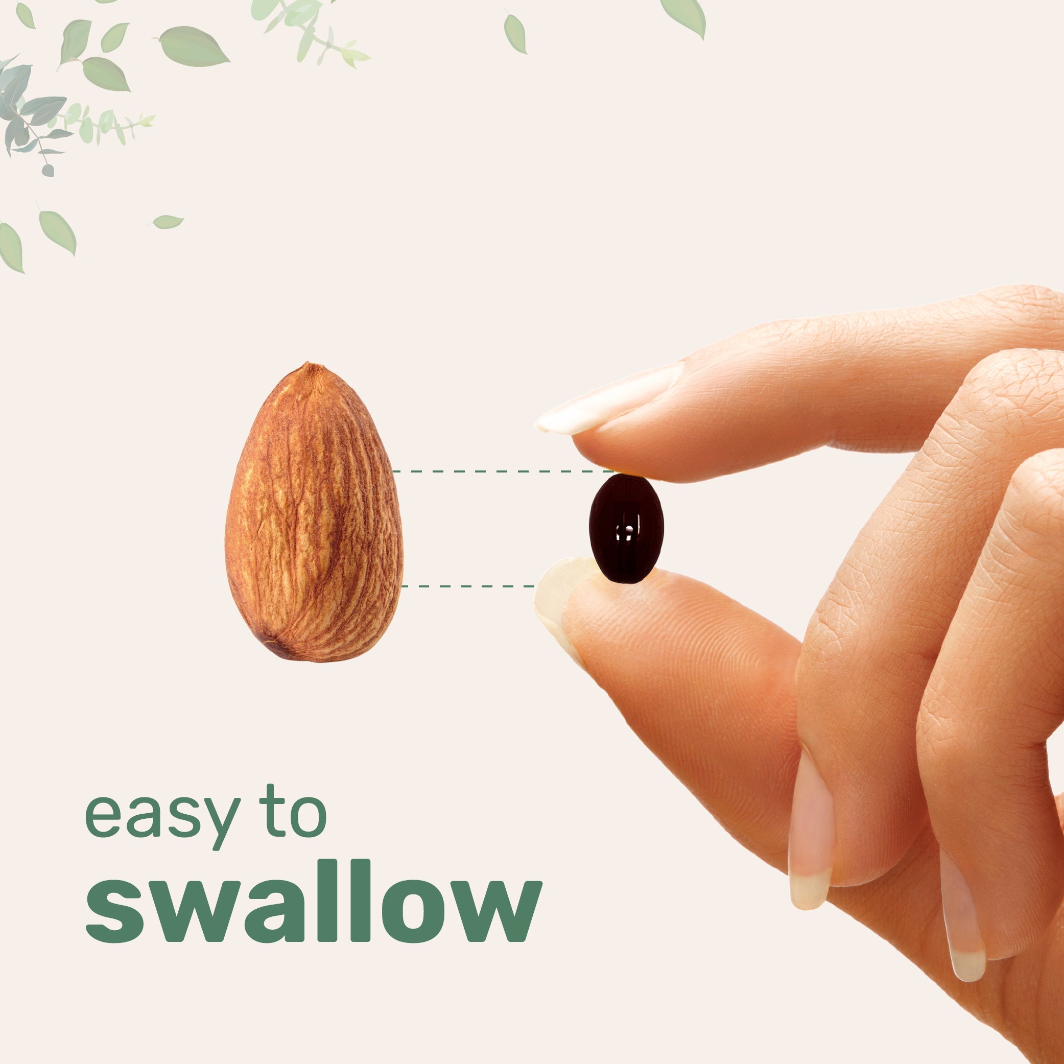 Micro Ingredients Ceylon Cinnamon 7,200mg Equivalent, 300 Softgels with MCT Oil