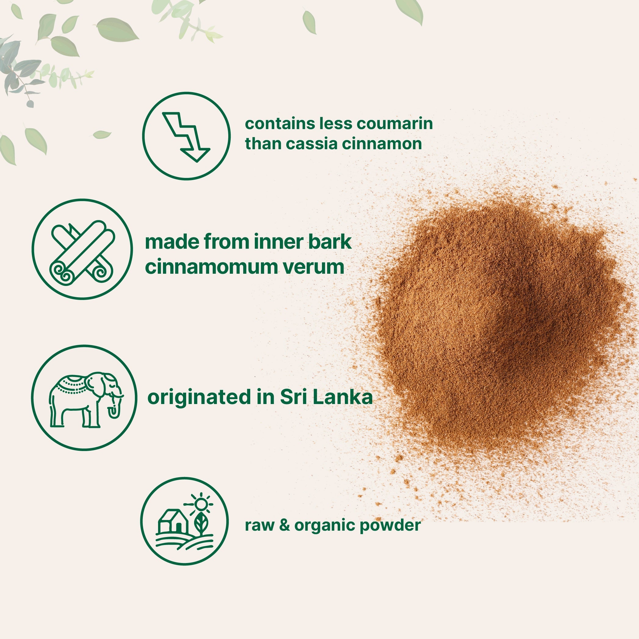 Micro Ingredients Organic Ceylon Cinnamon Powder