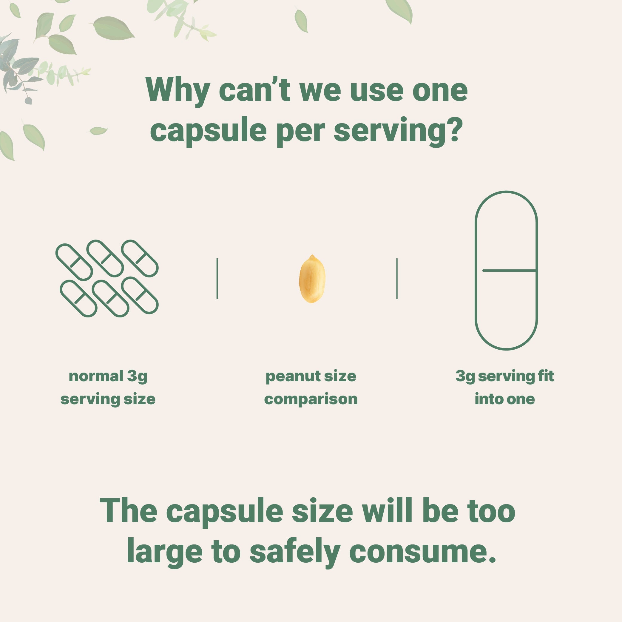 Micro Ingredients Creatine Monohydrate Capsules, 500 counts