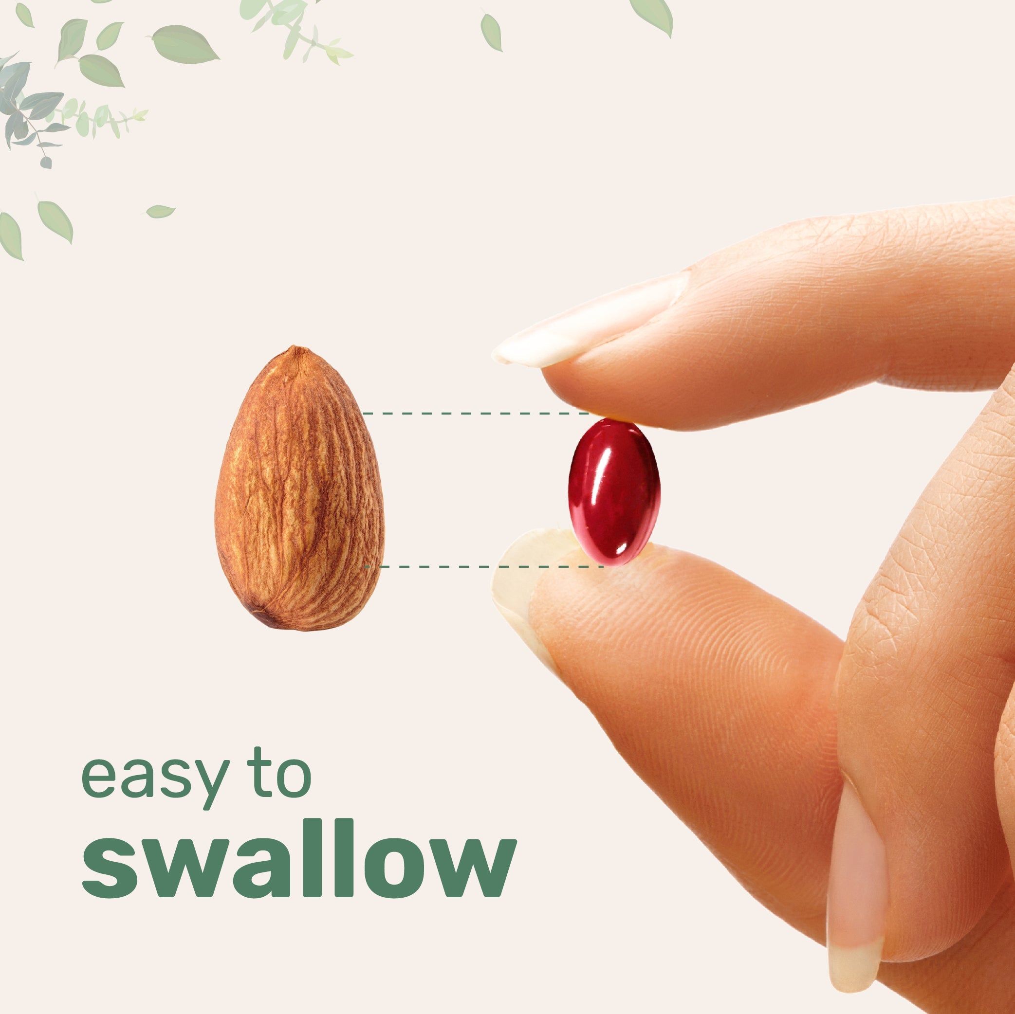 Micro Ingredients Evening Primrose Oil Softgels