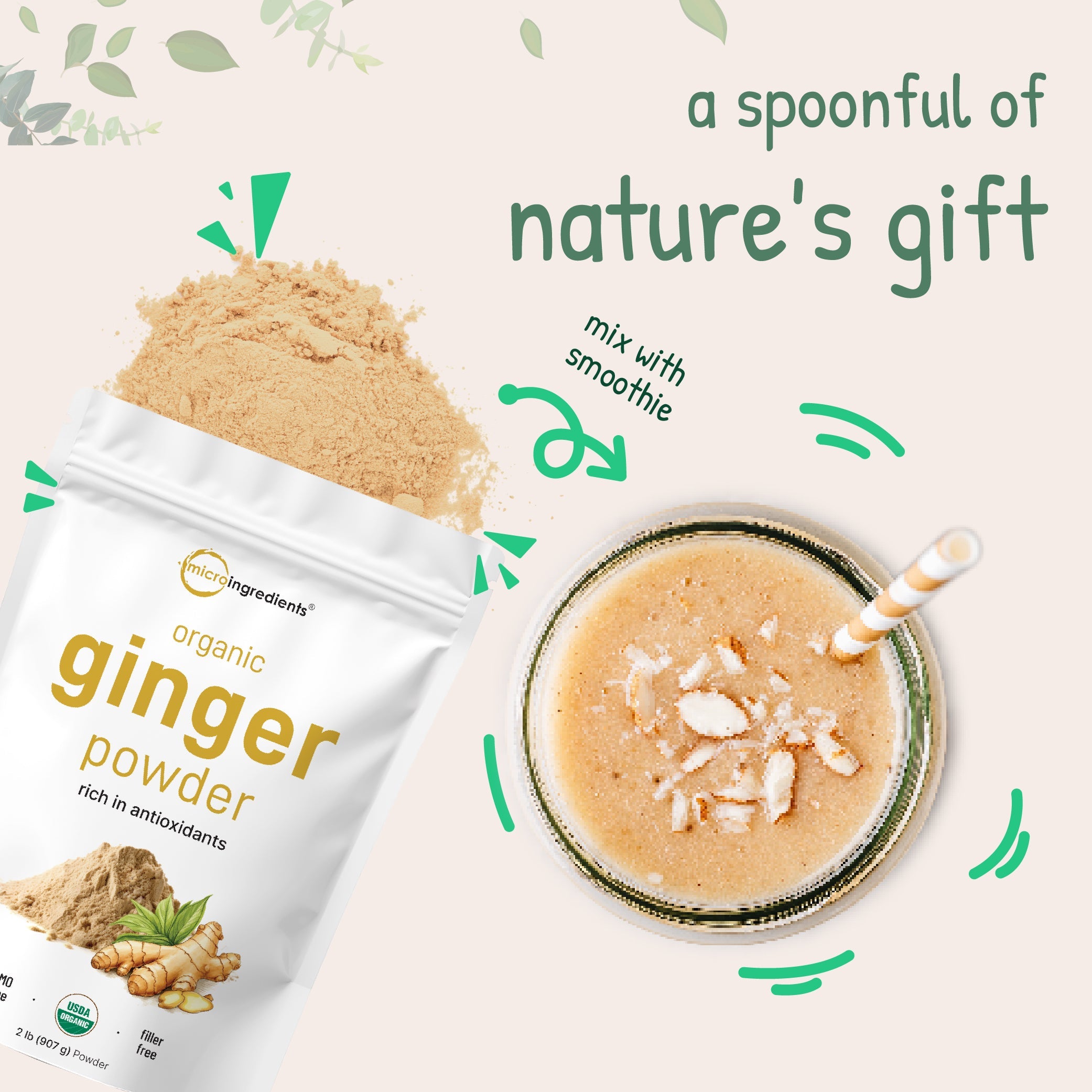 Micro Ingredients Organic Ginger Powder