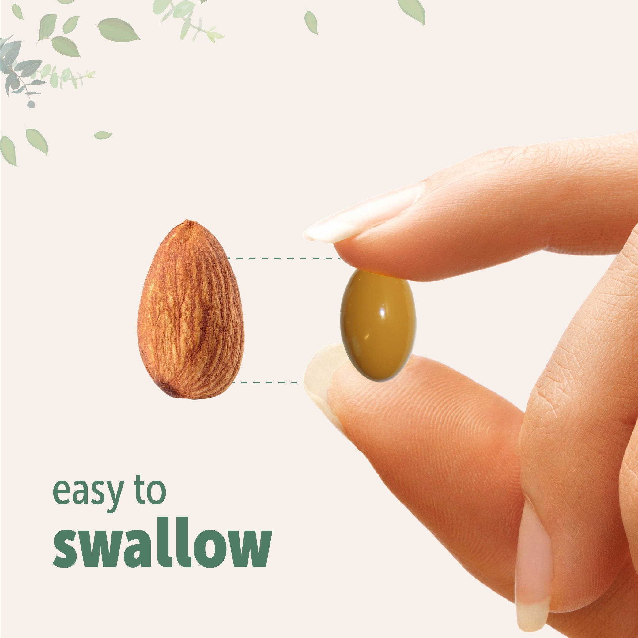 Micro Ingredients Ginger Root with MCT Oil, 360 Softgels