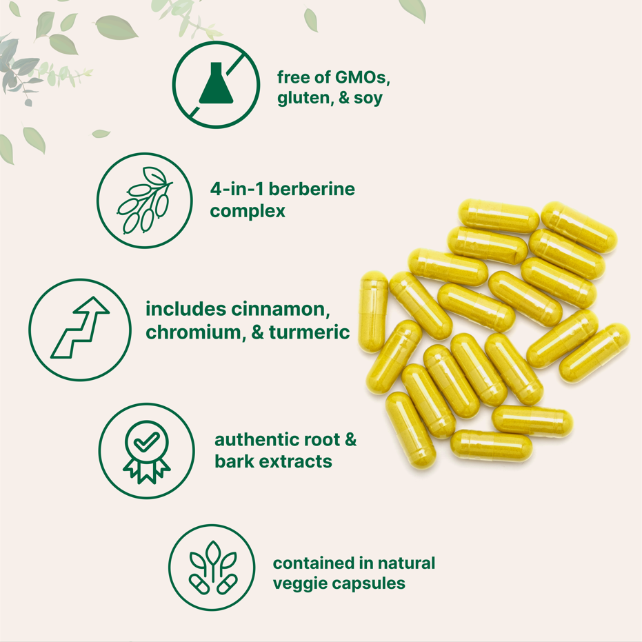 Berberine with Ceylon Cinnamon, Chromium, & Turmeric, 240 Vegetarian Capsules